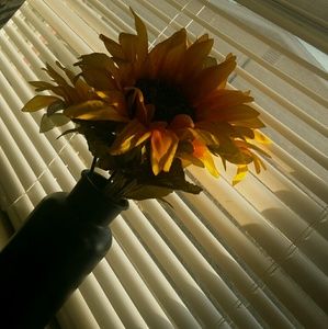 Meet your Posher, Anastasia